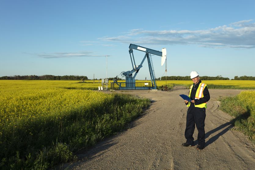przyjazna Geologia, geofizyka - usługi, Kielkart Przedsiębiorstwo usług geologicznych Sławomir Kurkowski i Izabela Kurkowska, Kielce